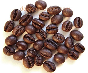 Loại cà phê hạt Trung Nguyên Culi Robusta ngon nhất, giá sỉ 