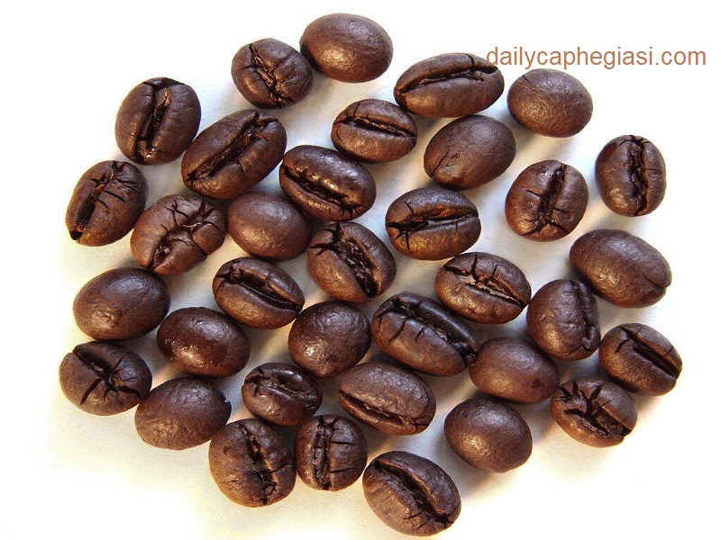 ca-phe-hat-trung-nguyen-culi-robusta